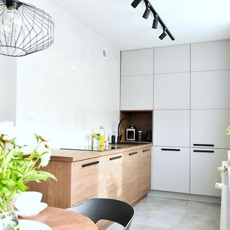 Syberka Apartment Bedzin